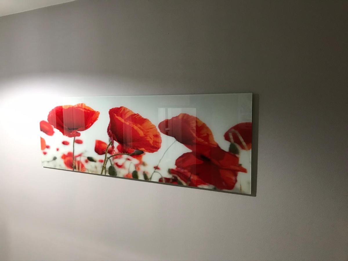 Flanders Fields Apartamento Dingwall Exterior foto